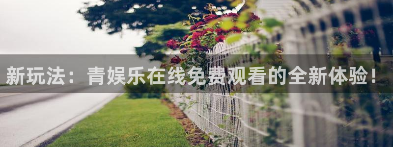 bg大游官方网站：新玩法：青娱乐在线免费观看的全新体验！