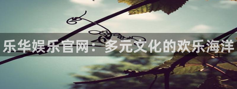 bg大游娱乐官网：乐华娱乐官网：多元文化的欢乐海洋