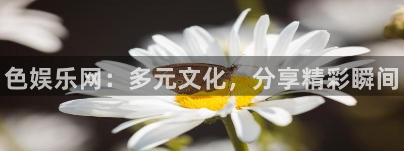 bg大游平台：色娱乐网：多元文化，分享精彩瞬间