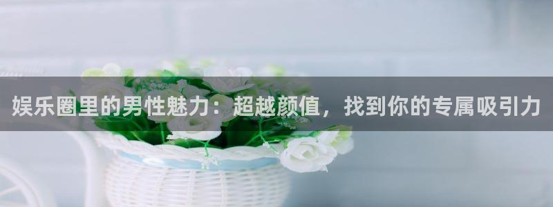 bg大游官方网站：娱乐圈里的男性魅力：超越颜值，找到你的专属吸引力