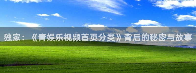 bg大游平台：独家：《青娱乐视频首页分类》背后的秘密与故事