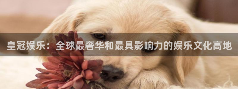 bg大游娱乐官网：皇冠娱乐：全球最奢华和最具影响力的娱乐文化高地