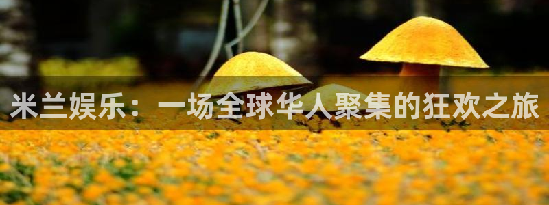 bg大游平台：米兰娱乐：一场全球华人聚集的狂欢之旅